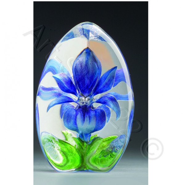 "Floral fantasy" Miniatur Lilie blau